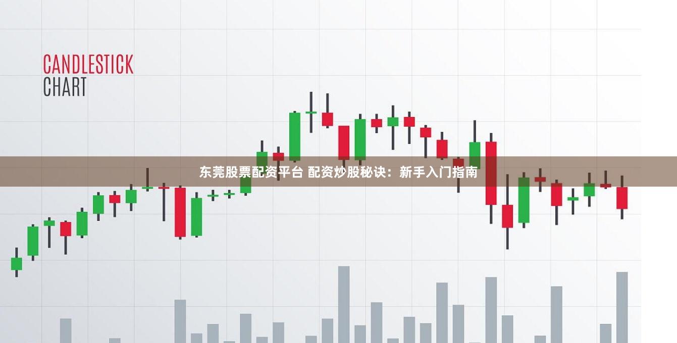 东莞股票配资平台 配资炒股秘诀：新手入门指南