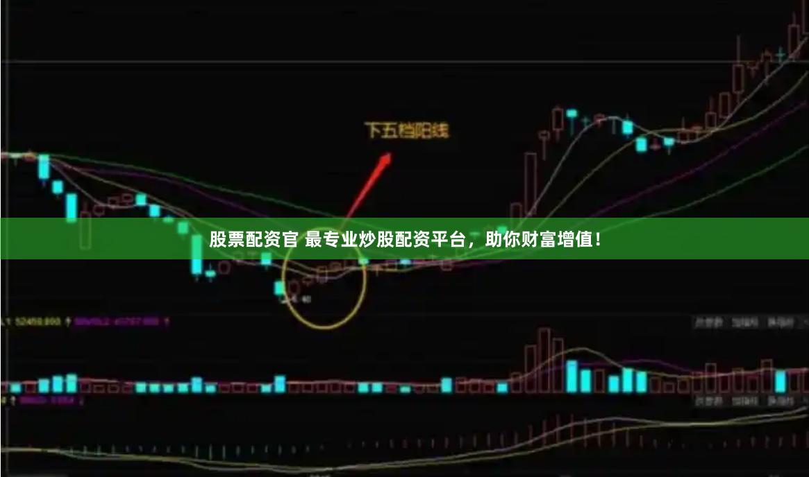 股票配资官 最专业炒股配资平台，助你财富增值！