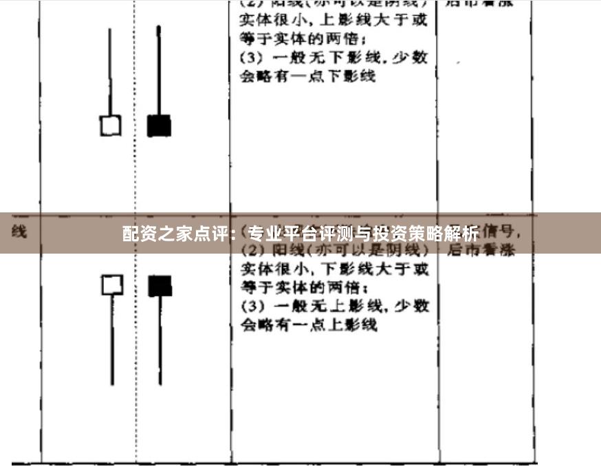 配资之家点评：专业平台评测与投资策略解析