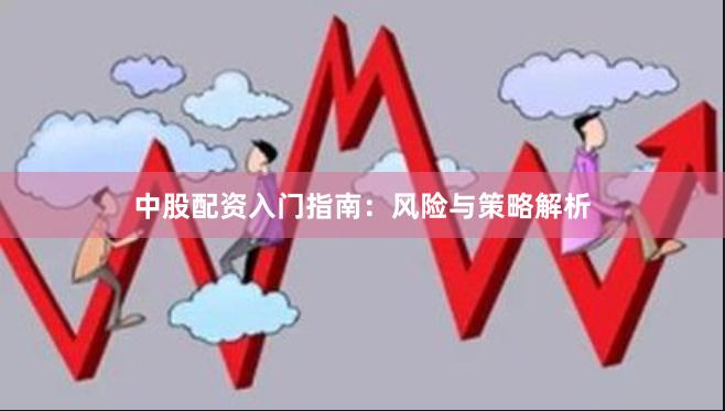 中股配资入门指南：风险与策略解析